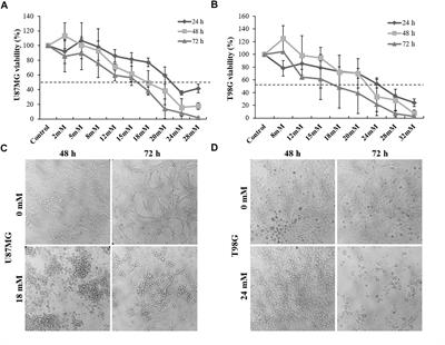 Growth Inhibitory Effects of Dipotassium Glycyrrhizinate in Glioblastoma Cell Lines by Targeting MicroRNAs Through the NF-κB Signaling Pathway